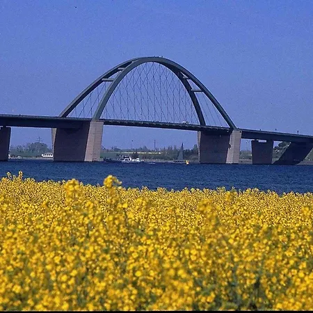 아파트 Sonnenschein 25 -